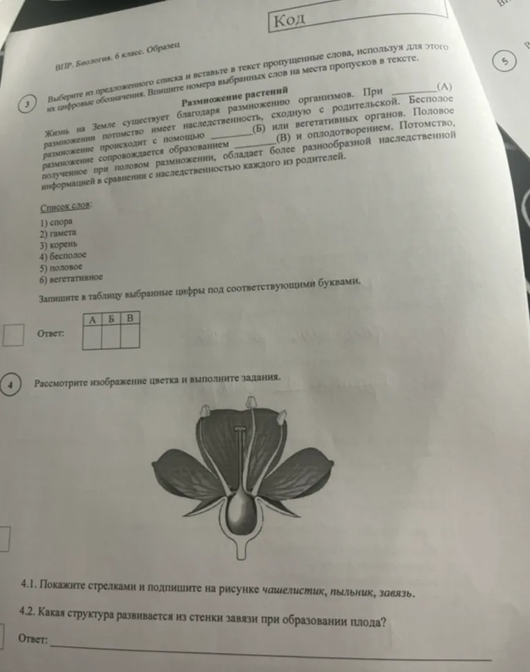 Выберите из предложенного списка и вставьте в текст пропущенные слова, используя для этого их цифровые обозначения. Впишите номера выбранных слов на места пропусков в тексте.