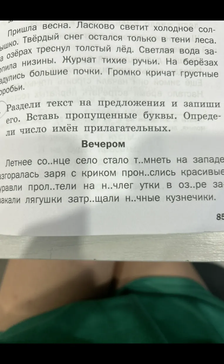 Раздели текст на предложения и запиши его. Вставь пропущенные буквы. Определи число имён прилагательных.