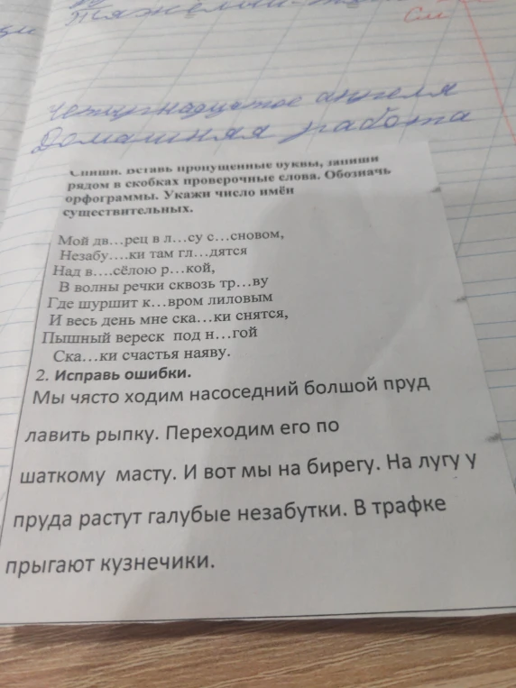 Спиши, вставь пропущенные буквы, запиши рядом в скобках проверочные слова. Обозначь орфограммы. Укажи число имён существительных.