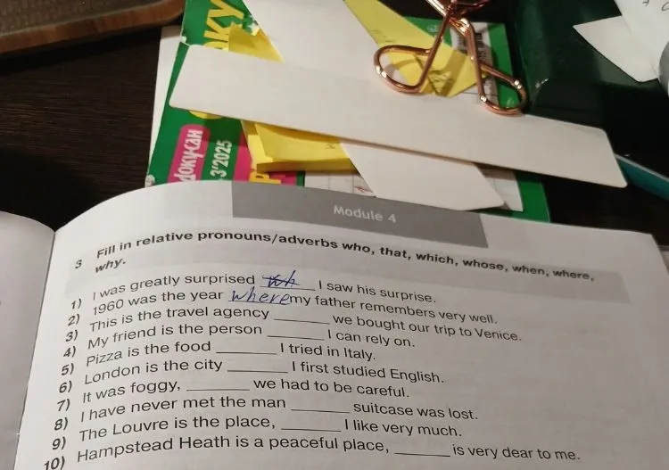 Fill in relative pronouns/adverbs who, that, which, whose, when, where, why.