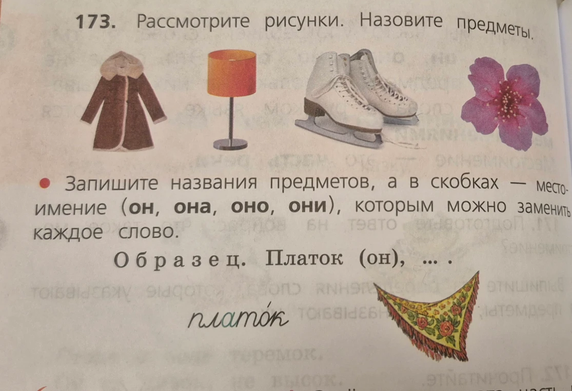 173. Рассмотрите рисунки. Назовите предметы. Запишите названия предметов, а в скобках — местоимение (он, она, оно, они), которым можно заменить каждое слово.