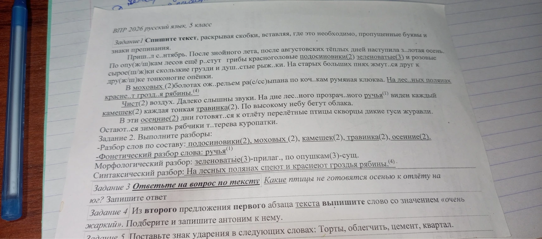 Спишите текст, раскрывая скобки, вставляя, где это необходимо, пропущенные буквы и знаки препинания.