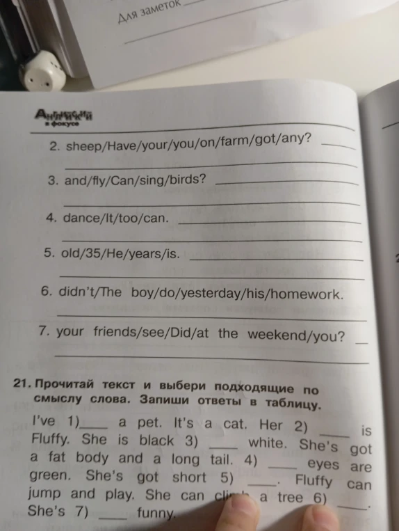 2. sheep/Have/your/you/on/farm/got/any?