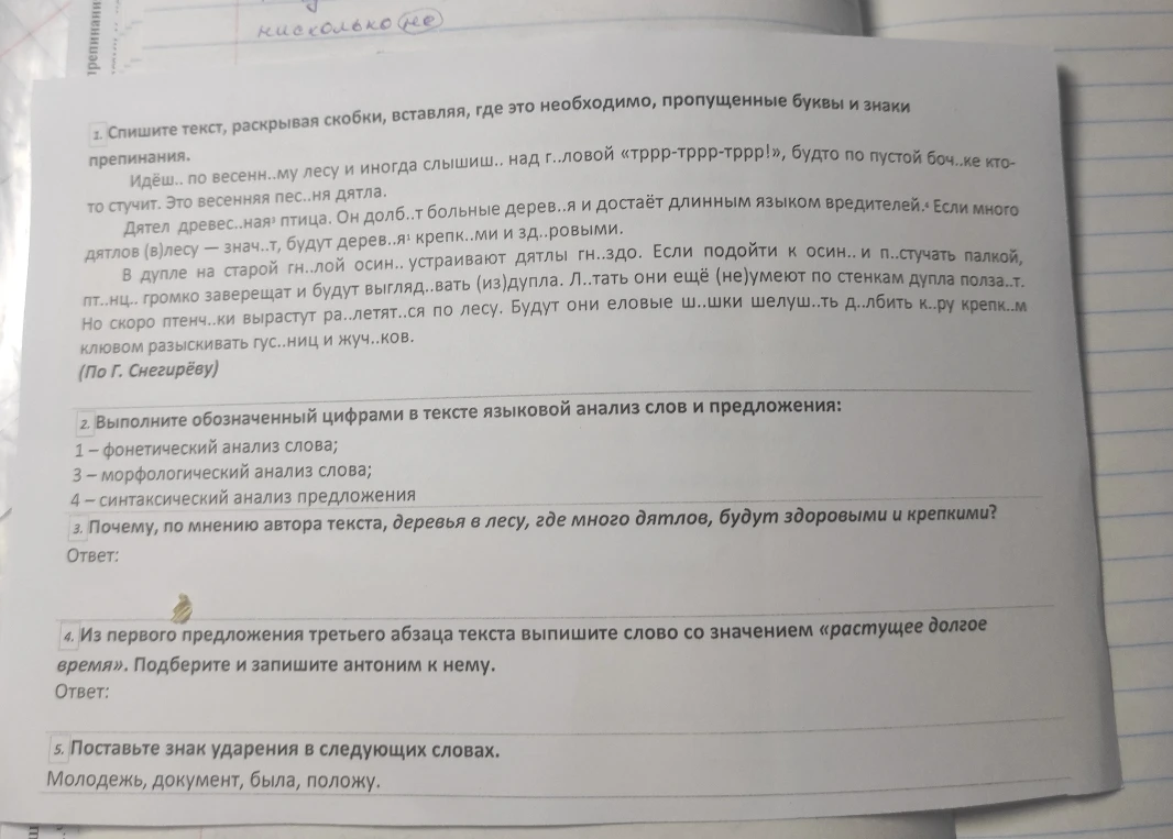 Спишите текст, раскрывая скобки, вставляя, где это необходимо, пропущенные буквы и знаки препинания.