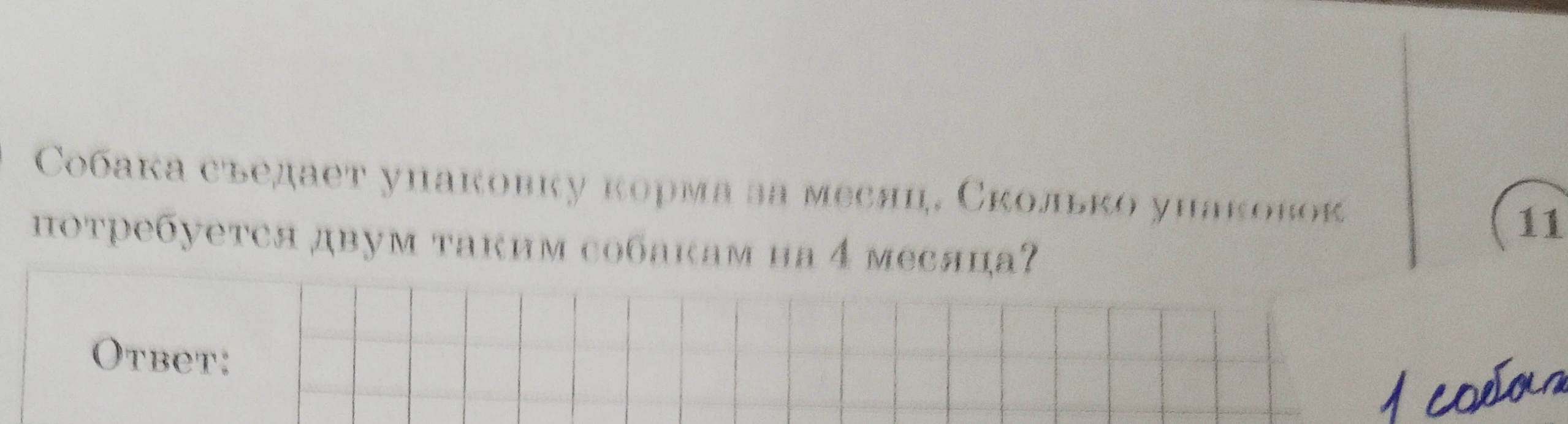 Собака съедает упаковку корма за месяц. Сколько упаковок потребуется двум таким собакам на 4 месяца?