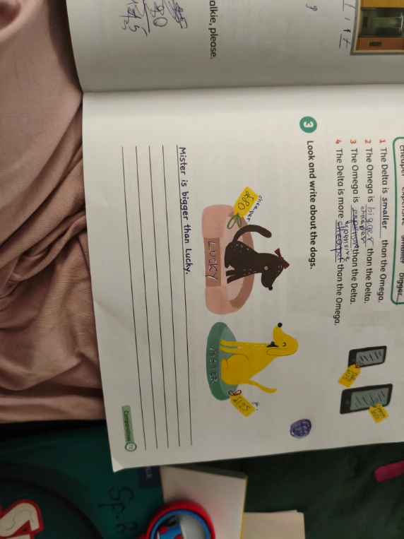 Look and write about the dogs.