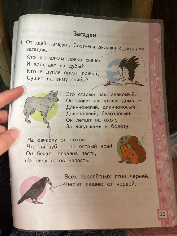 Отгадай загадки. Соотнеси рисунки с текстами загадок.