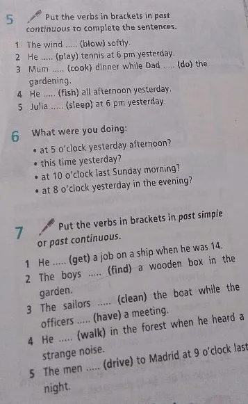 Put the verbs in brackets in past continuous to complete the sentences.