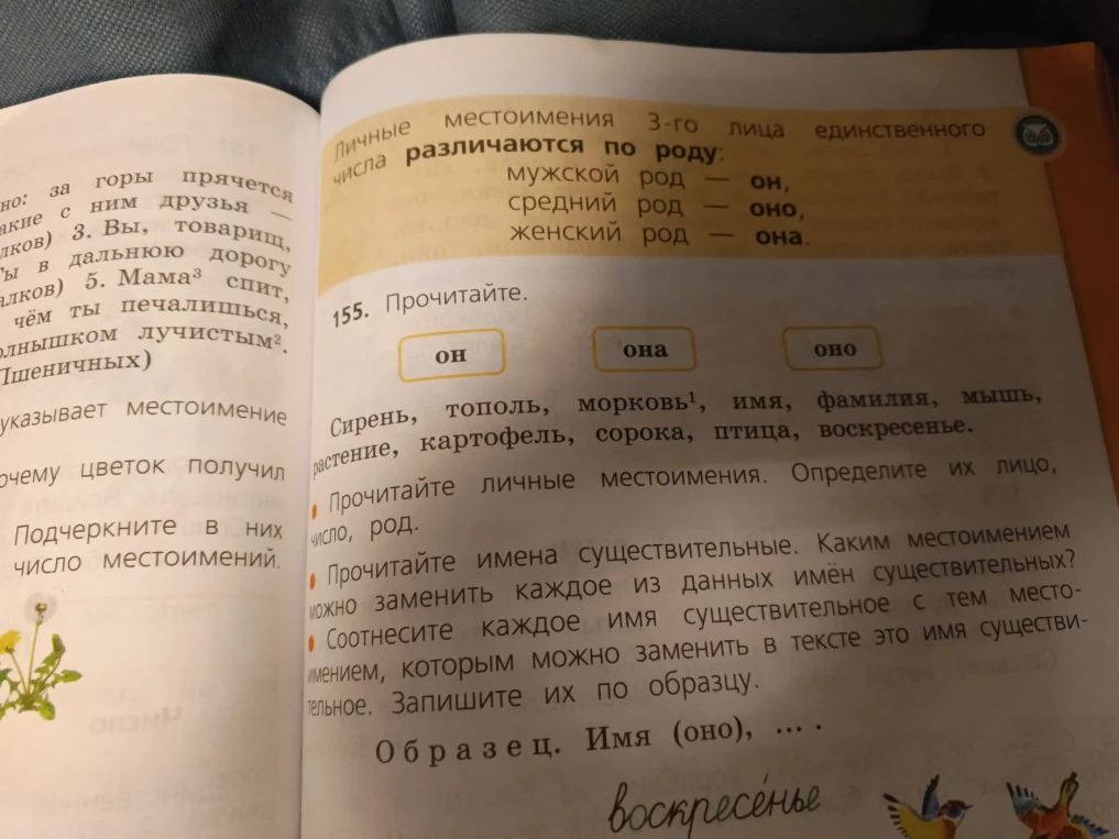 155. Прочитайте. Сирень, тополь, морковь, имя, фамилия, мышь, растение, картофель, сорока, птица, воскресенье.