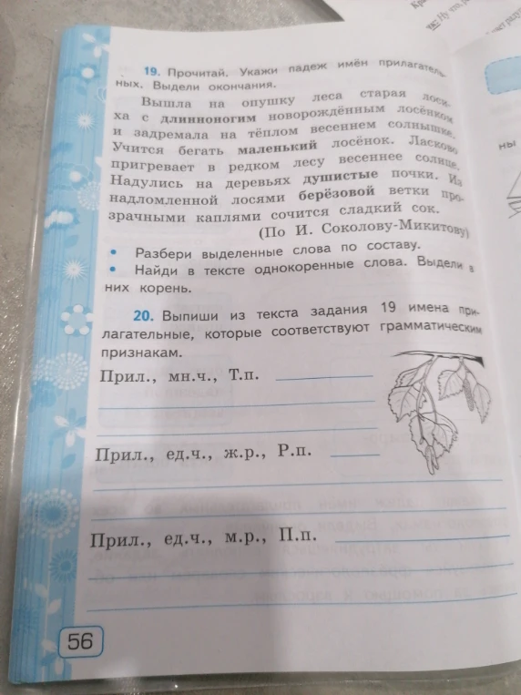 19. Прочитай. Укажи падеж имён прилагательных. Выдели окончания.