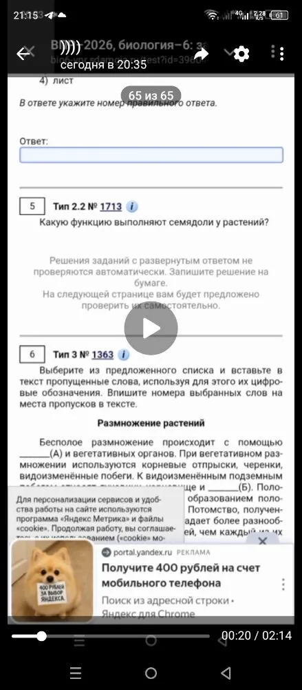 Какую функцию выполняют семядоли у растений?