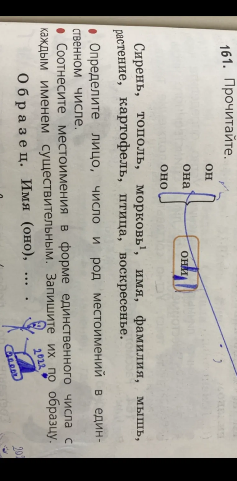 Сирень, тополь, морковь, имя, фамилия, мышь, растение, картофель, птица, воскресенье.