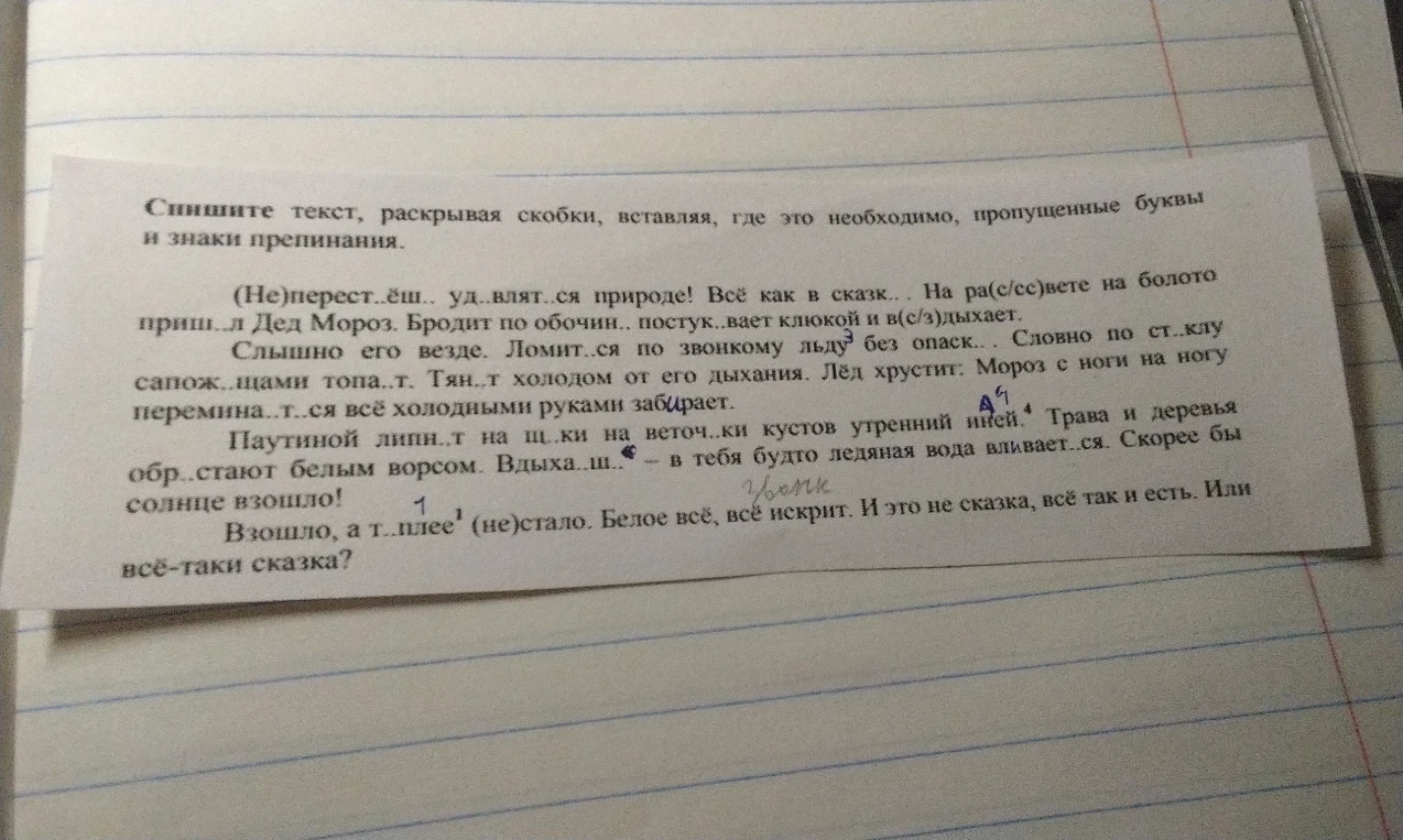 Спишите текст, раскрывая скобки, вставляя, где это необходимо, пропущенные буквы и знаки препинания.