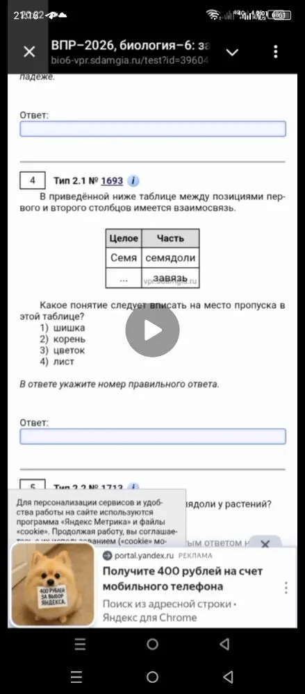 Какое понятие следует вписать на место пропуска в этой таблице?