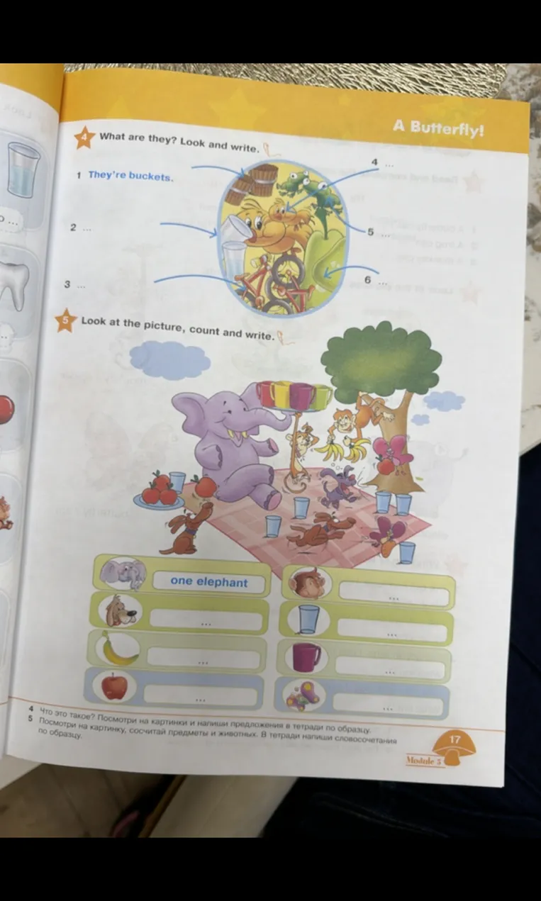 What are they? Look and write.