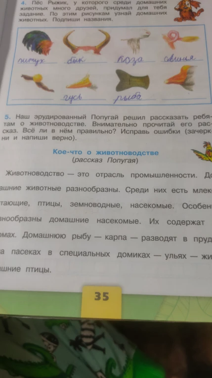 Пёс Рыжик, у которого среди домашних животных много друзей, придумал для тебя задание. По этим рисункам узнай домашних животных. Подпиши названия.