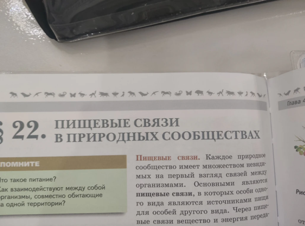 § 22. ПИЩЕВЫЕ СВЯЗИ В ПРИРОДНЫХ СООБЩЕСТВАХ