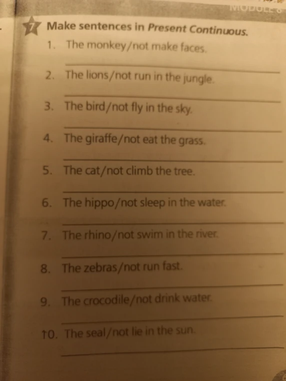 Make sentences in Present Continuous.