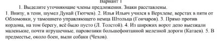 Выделите уточняющие члены предложения. Знаки расставлены.