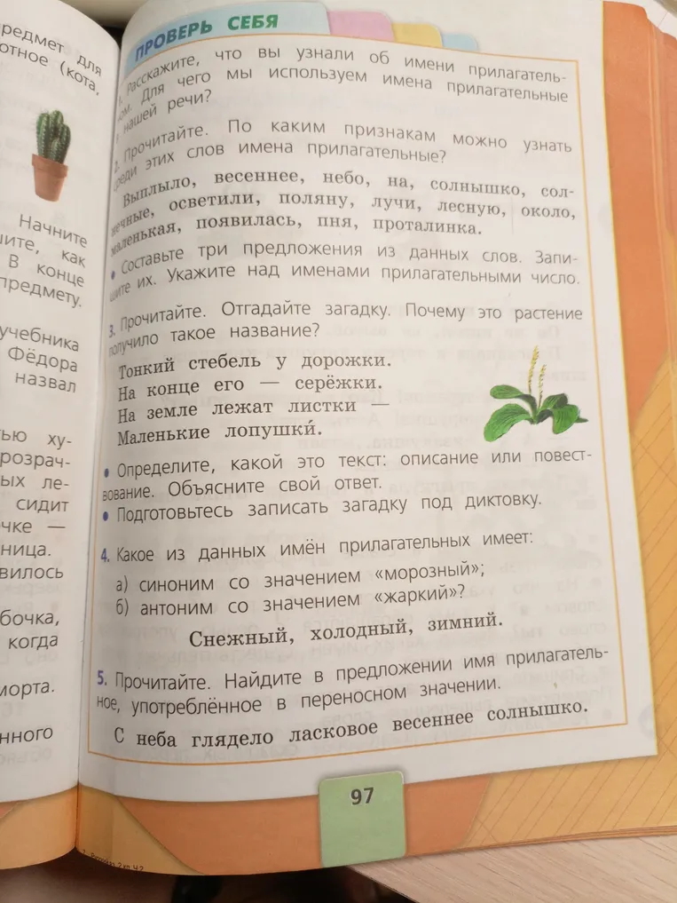 Расскажите, что вы узнали об имени прилагательном. Для чего мы используем имена прилагательные в нашей речи?