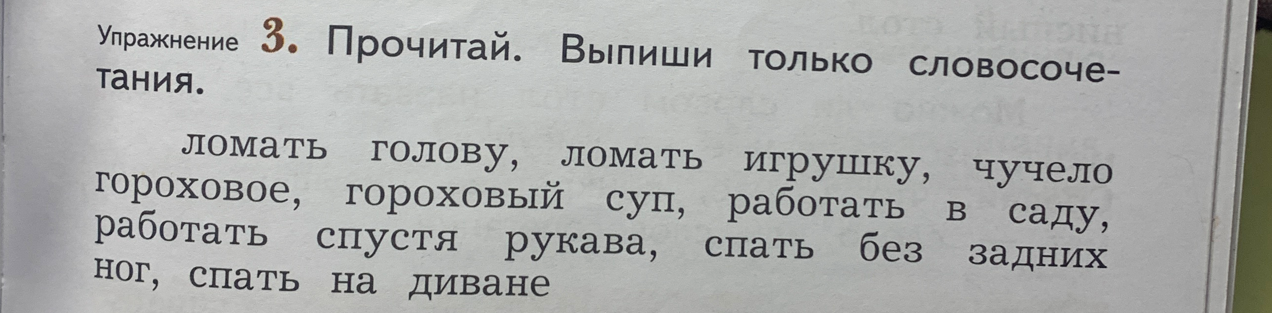 Упражнение 3. Прочитай. Выпиши только словосочетания.