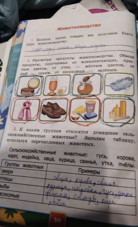 К каким группам относятся домашние сельскохозяйственные животные? Заполни таблицу, используя перечисленных животных.