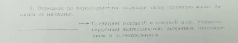 Определи по характеристике название части головного мозга. Запиши её название.