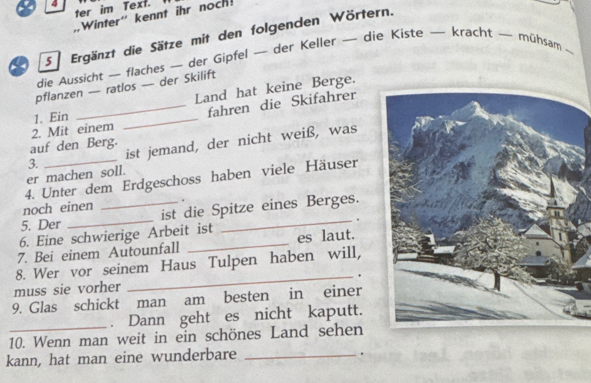 Ergänzt die Sätze mit den folgenden Wörtern