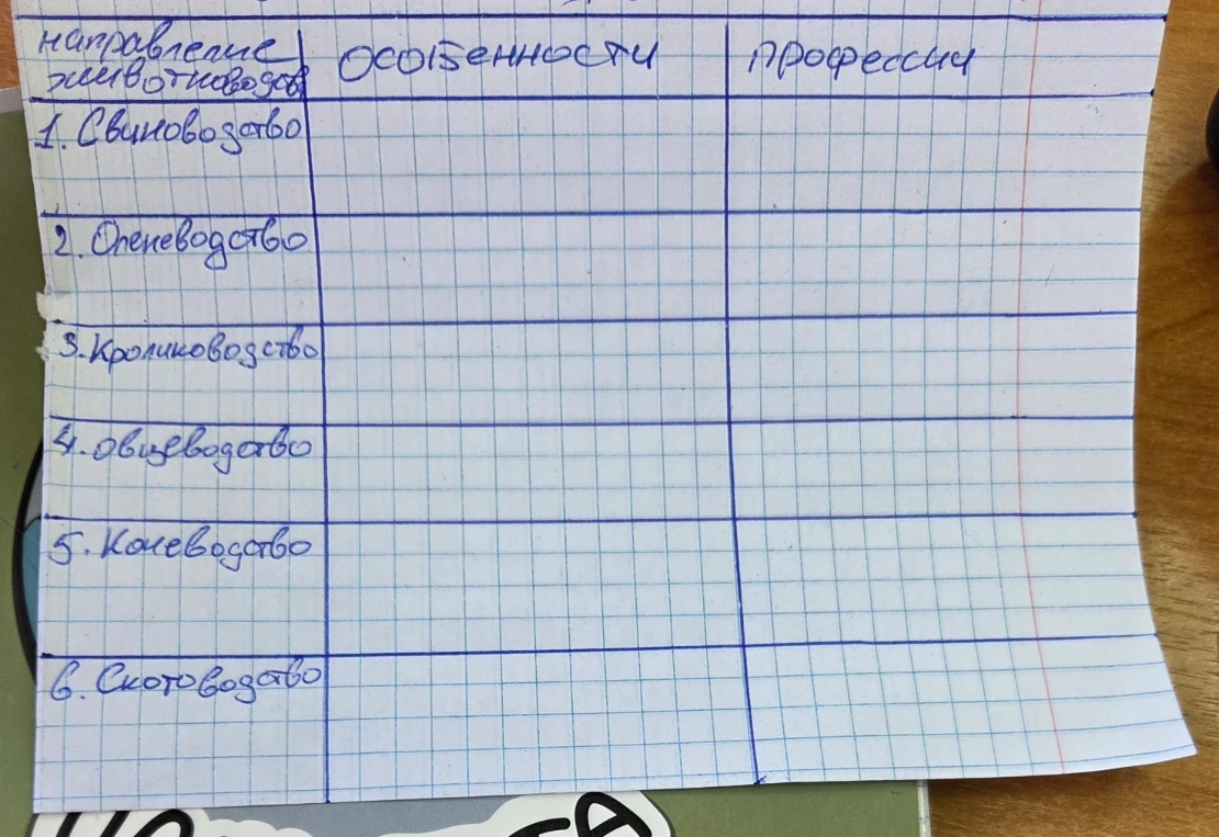 Заполнить таблицу