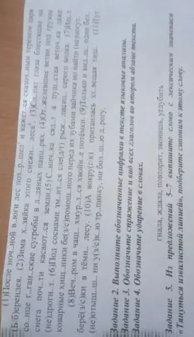 После ночной вьюги лес похорел и кажется сказочным теремом царя Берендея.