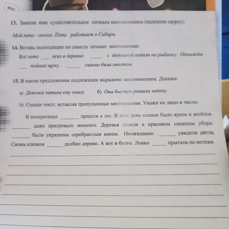 13. Замени имя существительное личным местоимением (надпиши сверху).