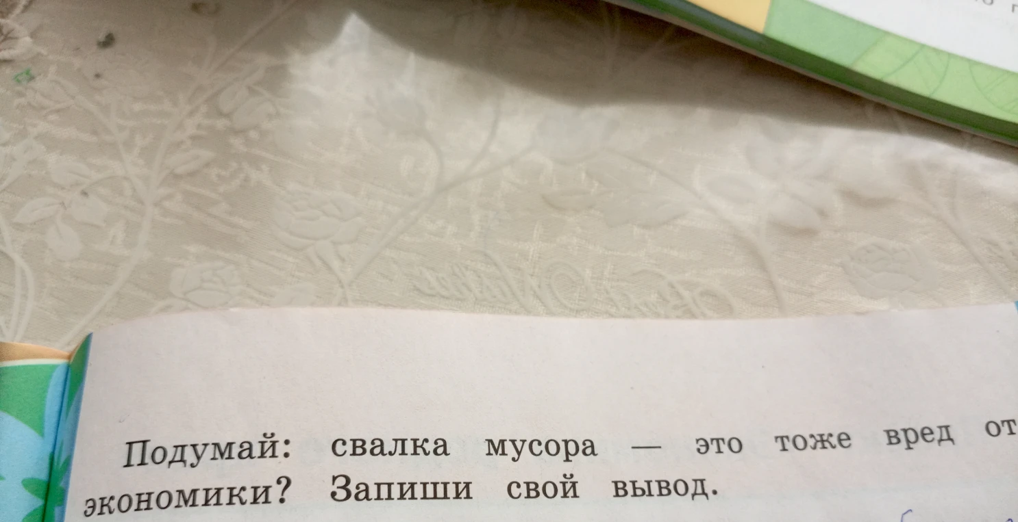 Подумай: свалка мусора — это тоже вред от экономики? Запиши свой вывод.