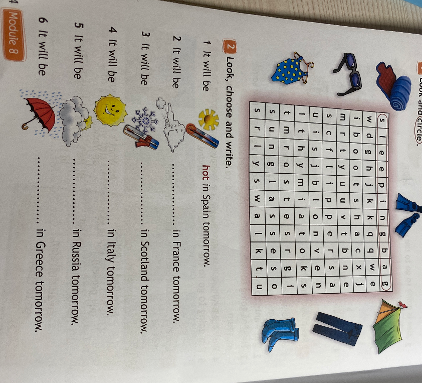 Look, choose and write.
