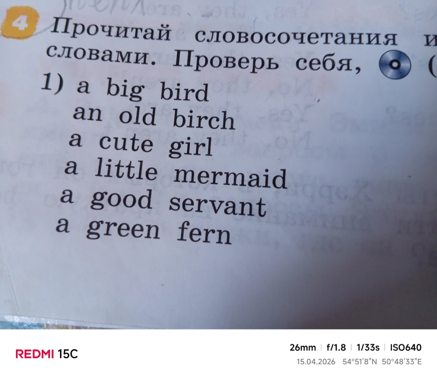 Прочитай словосочетания и словами. Проверь себя, (1) a big bird an old birch a cute girl a little mermaid a good servant a green fern