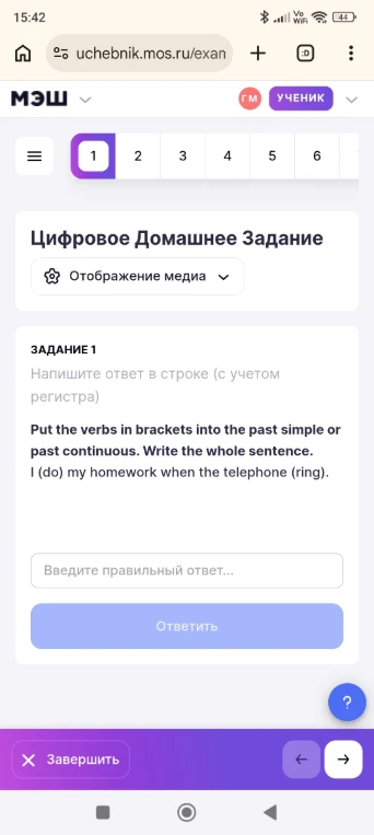 Put the verbs in brackets into the past simple or past continuous. Write the whole sentence. I (do) my homework when the telephone (ring).