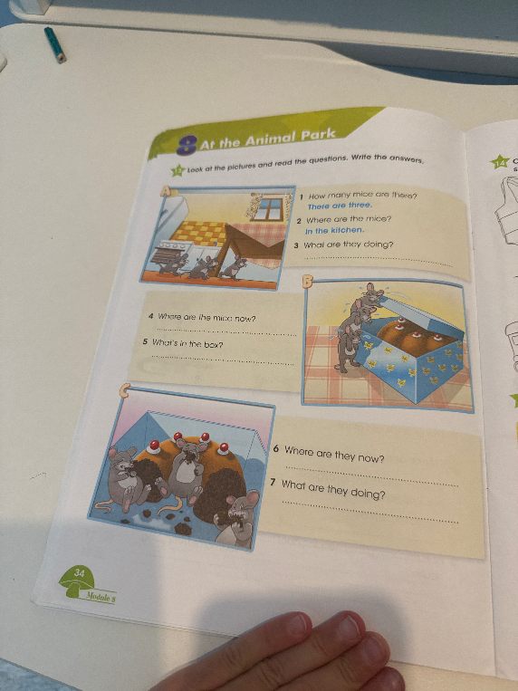 Look at the pictures and read the questions. Write the answers.