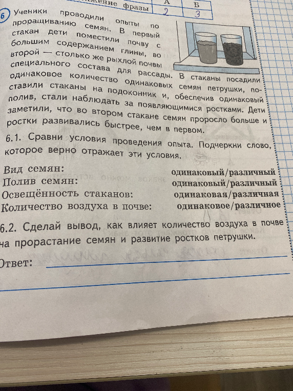 Ученики проводили опыты по проращиванию семян. В первый стакан дети поместили почву с большим содержанием глины, во второй — столько же рыхлой почвы специального состава для рассады.