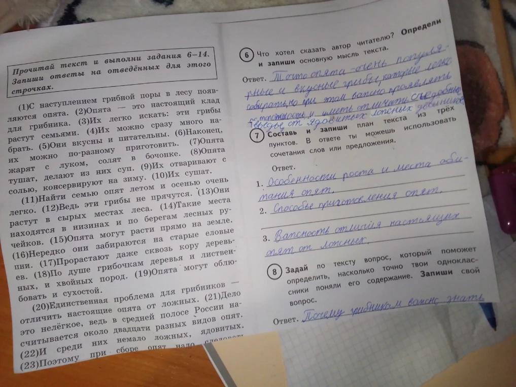Что хотел сказать автор читателю? Определи и запиши основную мысль текста.