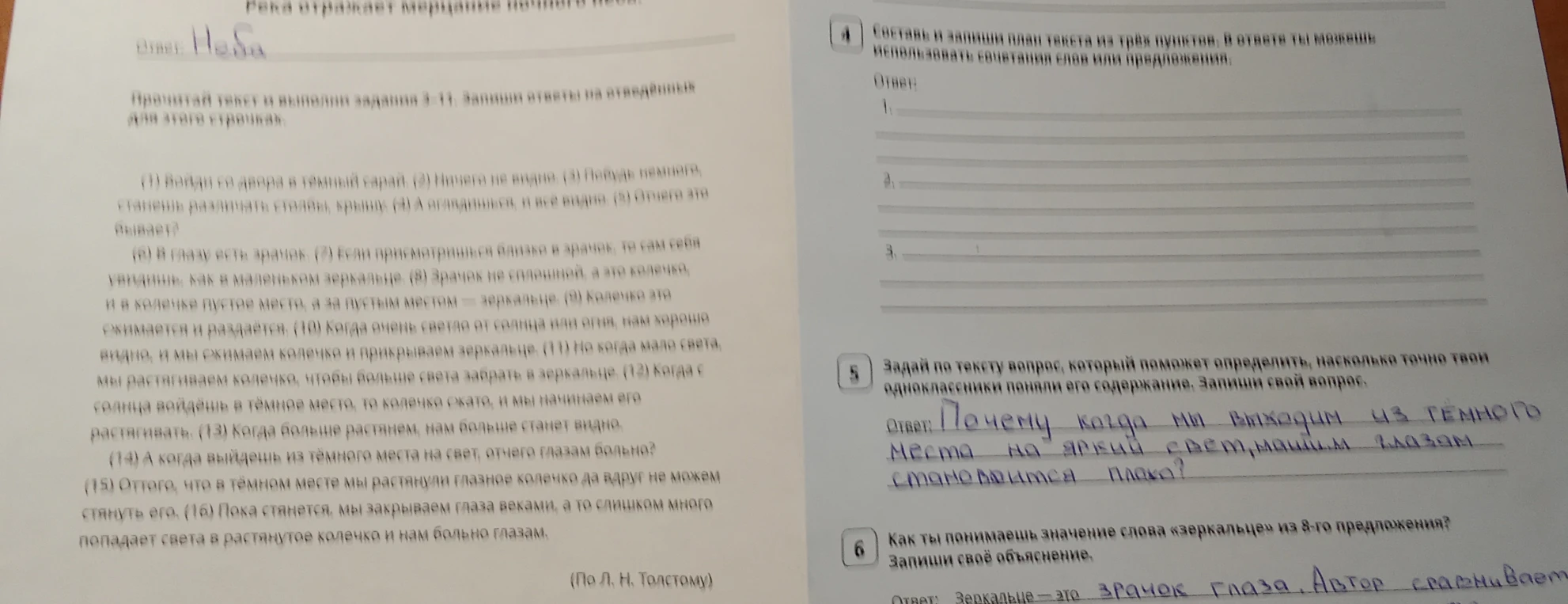 Составь и запиши план текста из трёх пунктов. В ответе ты можешь использовать сочетания слов или предложения.