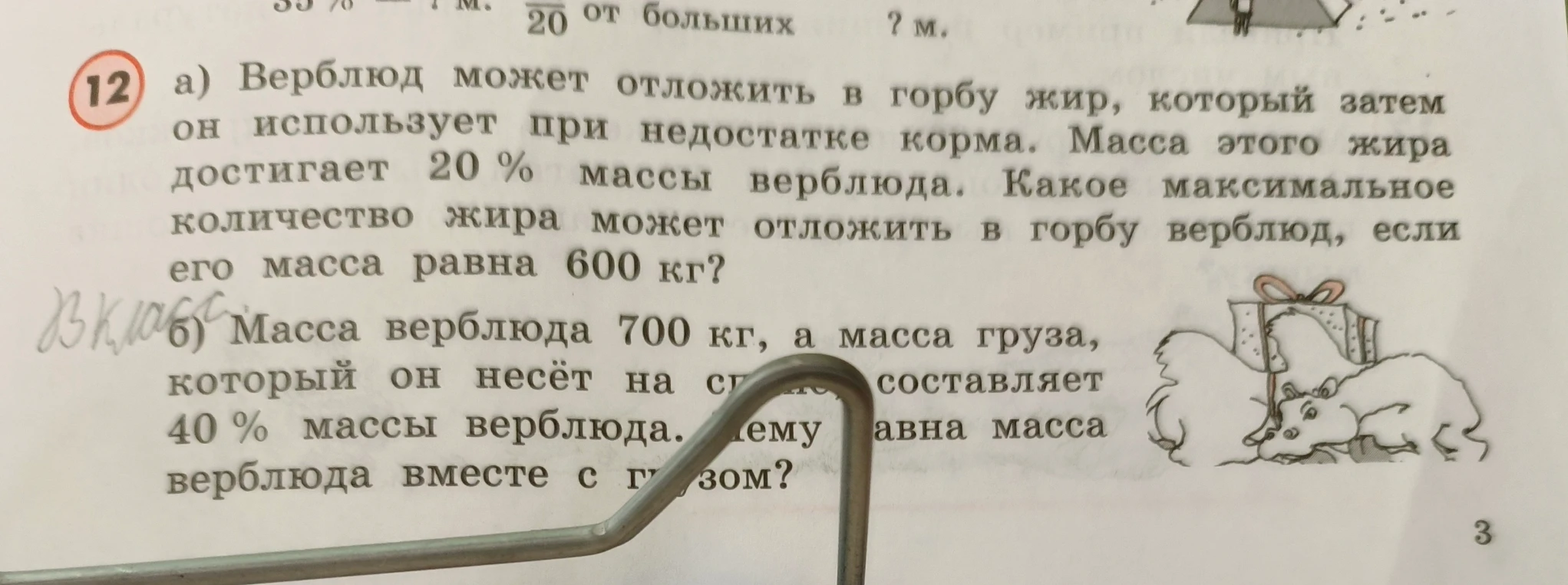 а) Верблюд может отложить в горбу жир, который затем он использует при недостатке корма. Масса этого жира достигает 20 % массы верблюда. Какое максимальное количество жира может отложить в горбу верблюд, если его масса равна 600 кг?