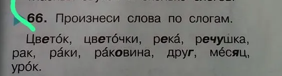 66. Произнеси слова по слогам.