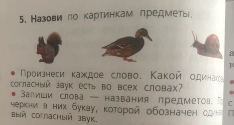 Назови по картинкам предметы. Произнеси каждое слово. Какой одинаковый согласный звук есть во всех словах?