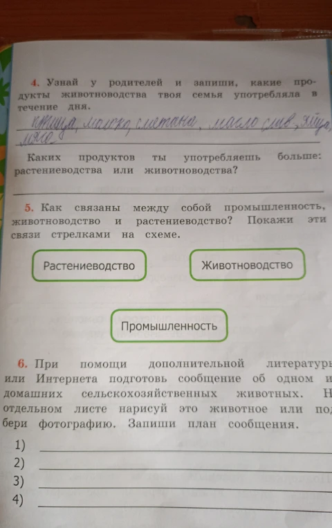 5. Как связаны между собой промышленность, животноводство и растениеводство? Покажи эти связи стрелками на схеме.