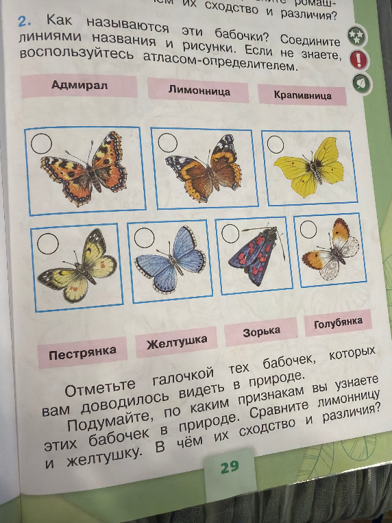 Как называются эти бабочки? Соедините линиями названия и рисунки. Если не знаете, воспользуйтесь атласом-определителем.