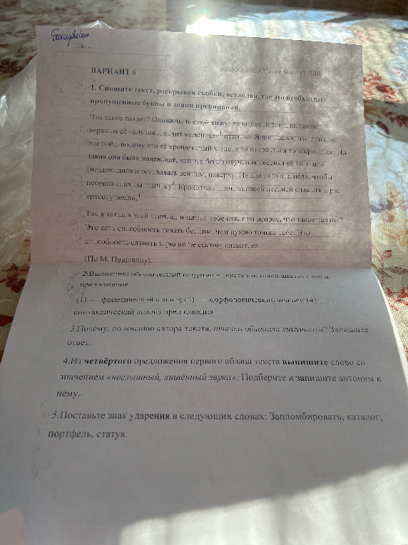 Спишите текст, раскрывая скобки, вставляя, где это необходимо, пропущенные буквы и знаки препинания.