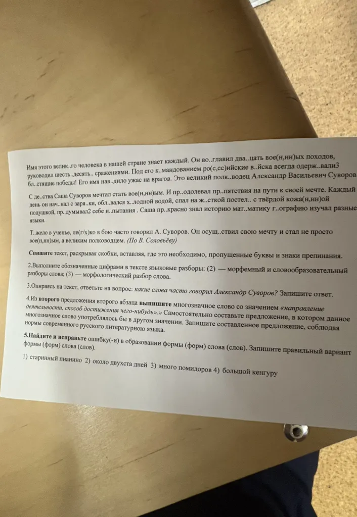 Спишите текст, раскрывая скобки, вставляя, где это необходимо, пропущенные буквы и знаки препинания.