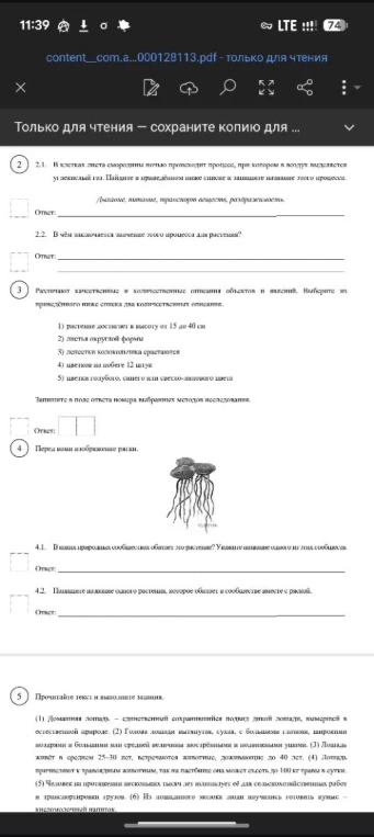 В клетках листа смородины ночью происходит процесс, при котором в воздух выделяется углекислый газ.