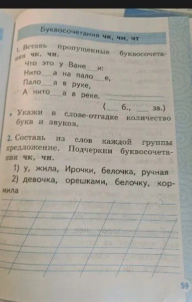 Вставь пропущенные буквосочетания чк, чн.