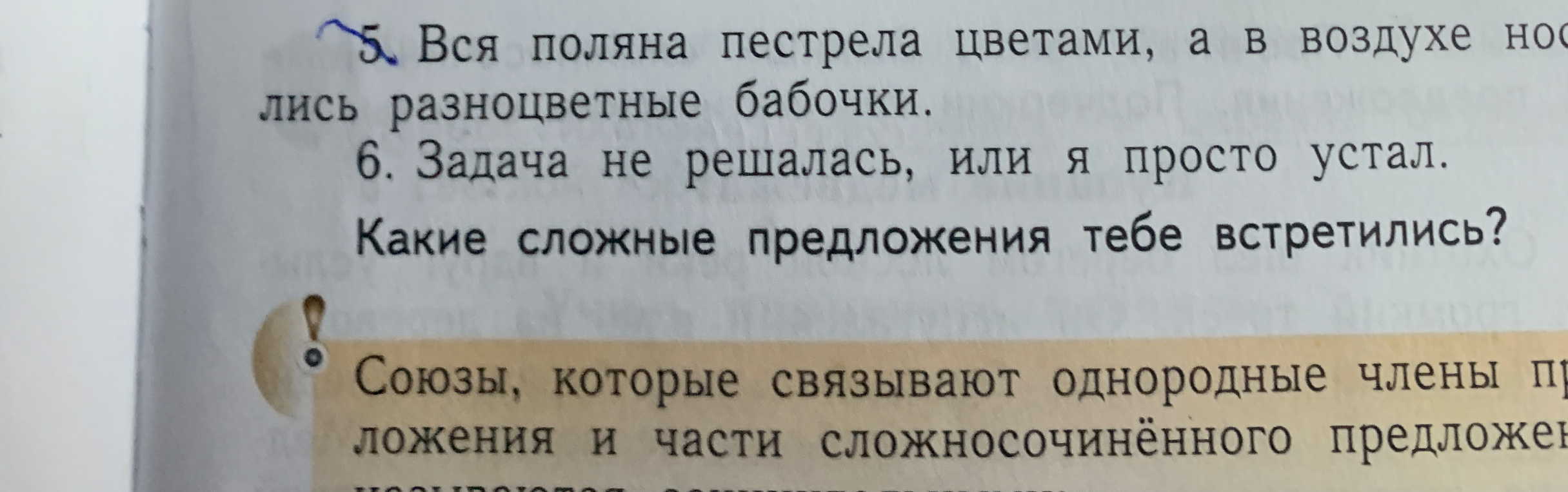 5. Вся поляна пестрела цветами, а в воздухе носились разноцветные бабочки.