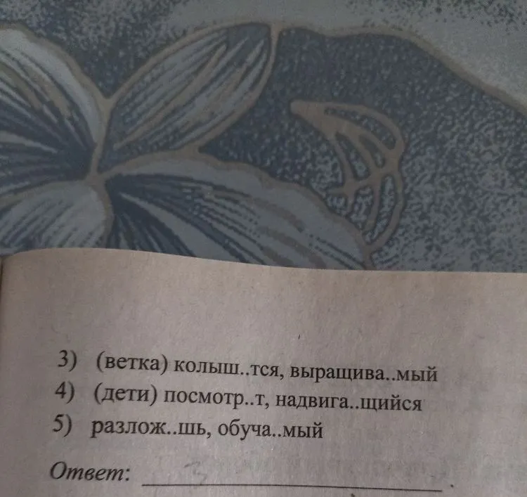 (они) ненавид..т, обрета..щий (старики) терп..т, кле..щийся